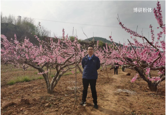 步履不停，共赴春光